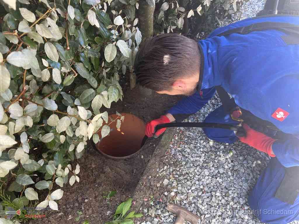 Rioolvliegjes Schiedam Rioolvliegjes Schiedam